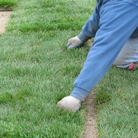 laying-sod-greenbelt