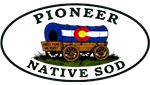 pioneer-logo